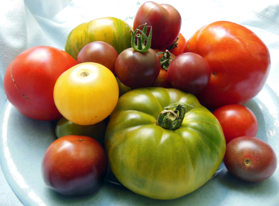 A ação anticâncer do tomate se deve principalmente ao licopeno