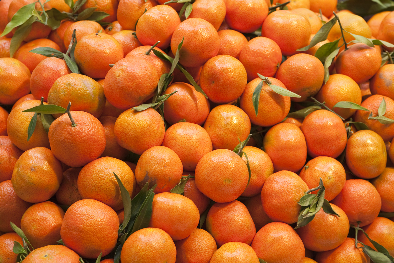 Conheça os benefícios da tangerina