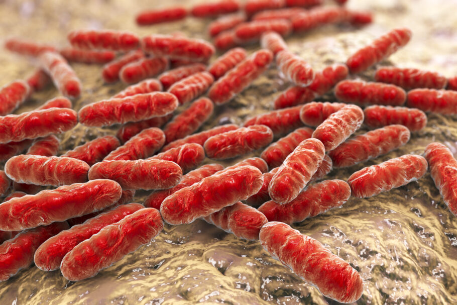 OMS atualiza lista de bactérias resistentes que geram preocupação