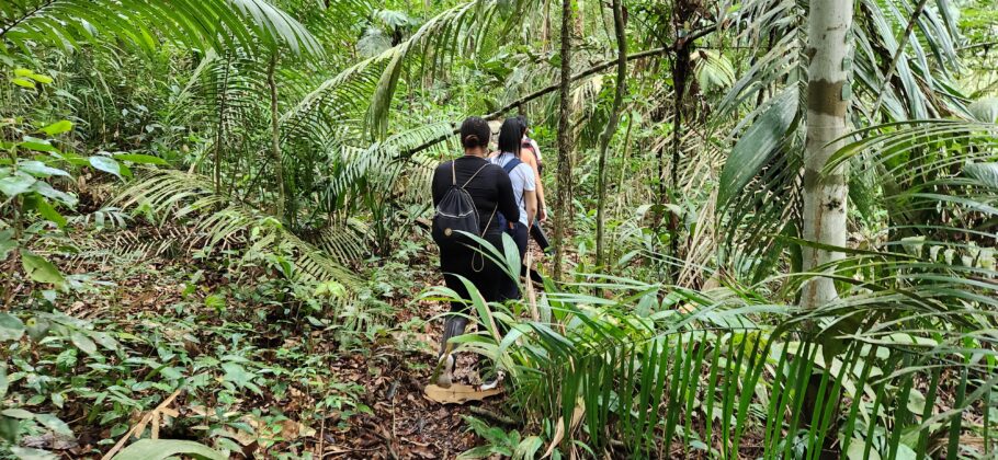 Entre as atividades oferecidas pela Juma Amazon Lodge está a caminhada pela floresta