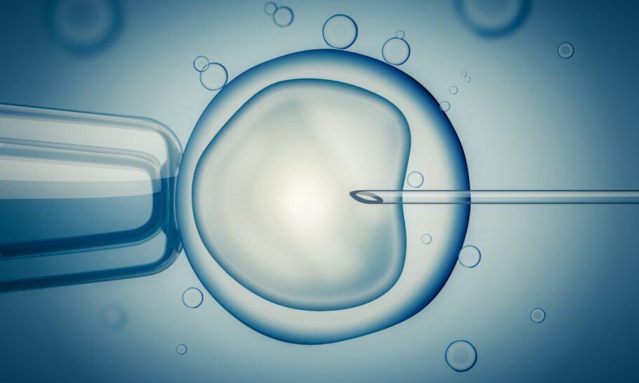 Técnica contra infertilidade transforma células da pele em óvulos