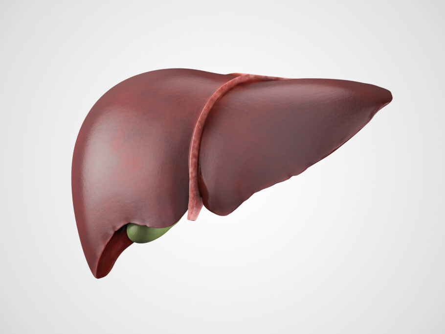 Conheça os sinais e sintomas de problemas no fígado