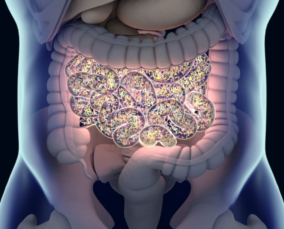 Pesquisadores ligam presença de certas bactérias intestinais a menor acúmulo de colesterol