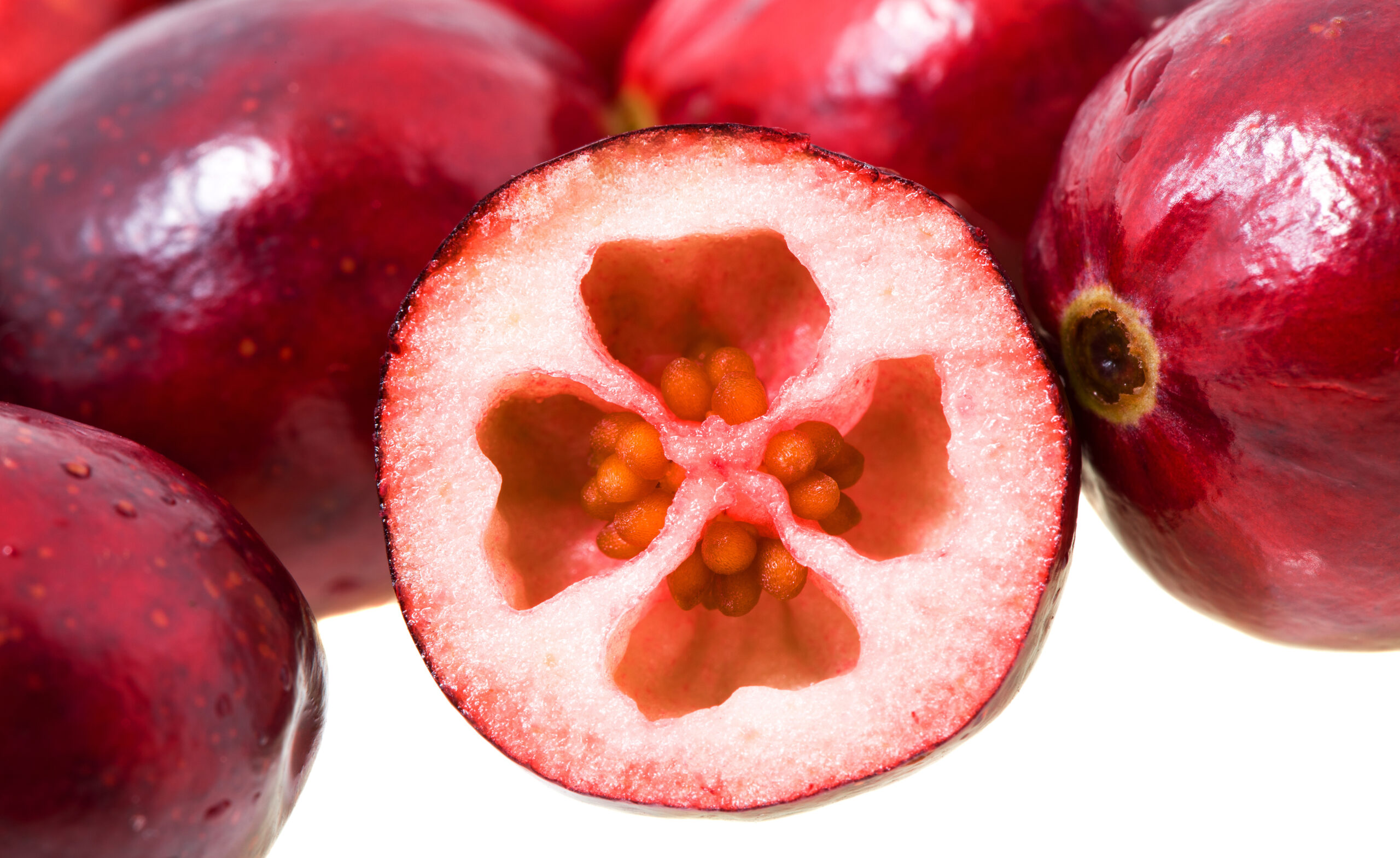 Veja os benefícios da cranberry