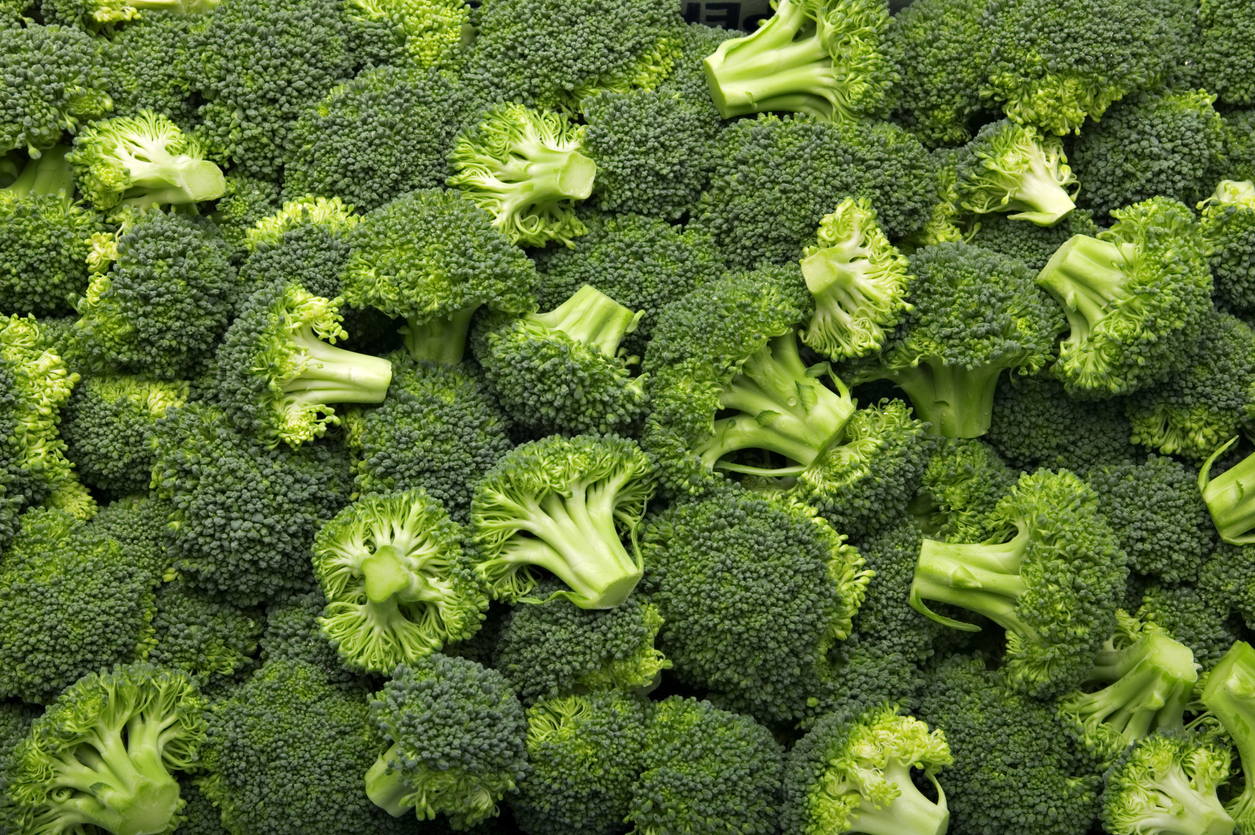Incorpore o brócolis na sua dieta e aproveite suas propriedades nutritivas e protetora