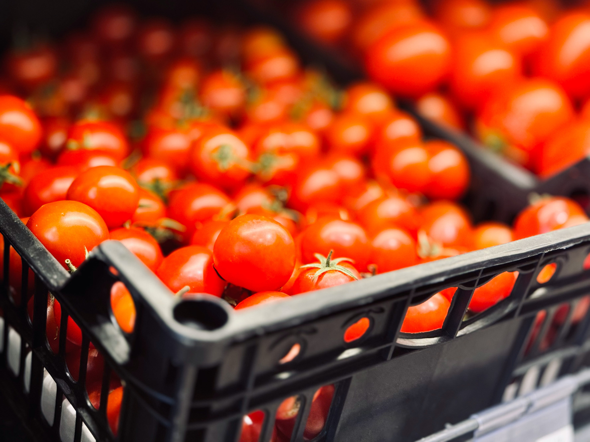 Inclua tomates na sua dieta para controlar o açúcar no sangue e melhorar a saúde cardiovascular