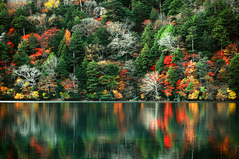 A beleza paisagem do outono em Nikko