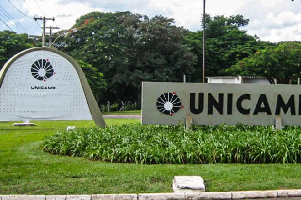 Fuvest, Unicamp e Unesp: materiais gratuitos revelam os temas mais recorrentes dos exames
