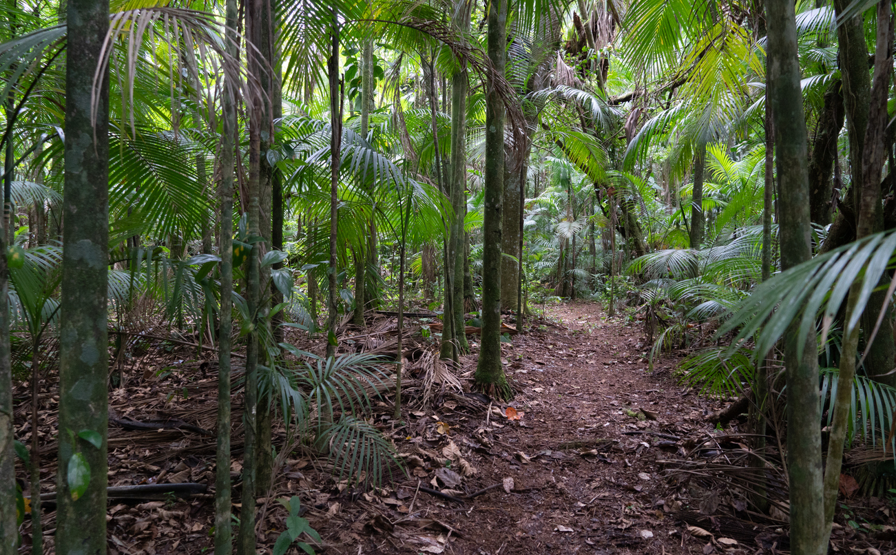 Reservas da Mata Atlântica