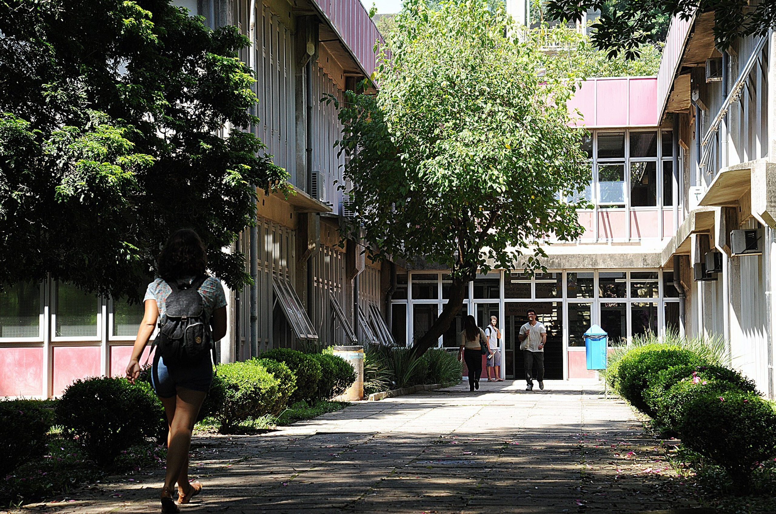 Cursos gratuitos na USP e na Unicamp