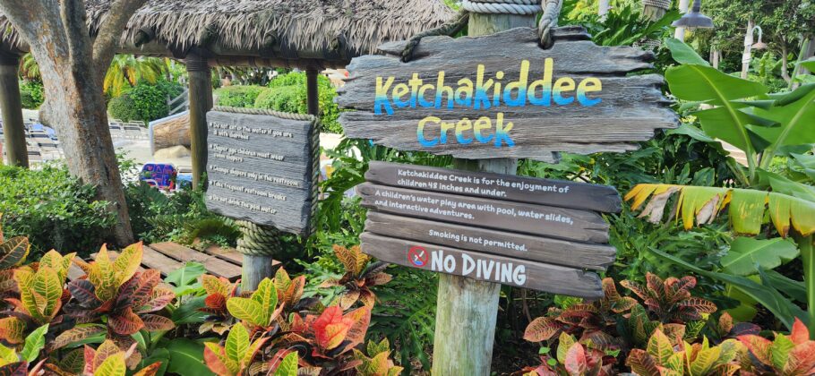 Ketchakiddee Creek, do Typhoon Lagoon, é um espaço ideal para os pequenos