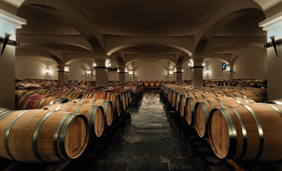 Cave de vinhos na região do Alentejo