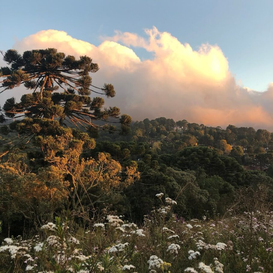 A baixa temporada é o momento ideal para conhecer Monte Verde