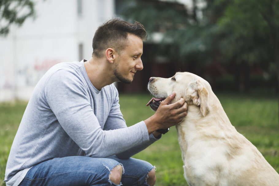 Olhar os olhos de seu cachorro sincroniza o seu cérebro com o dele, segundo estudo