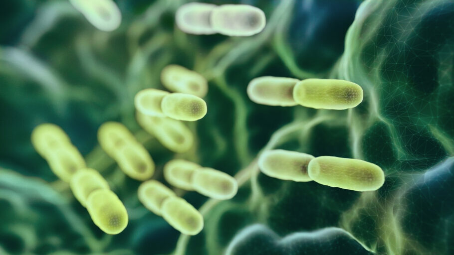 Cientistas descobrem bactérias intestinais distintas em crianças com autismo