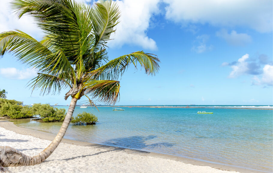 Você não precisa de uma passagem para o Caribe; Porto de Galinhas resolve