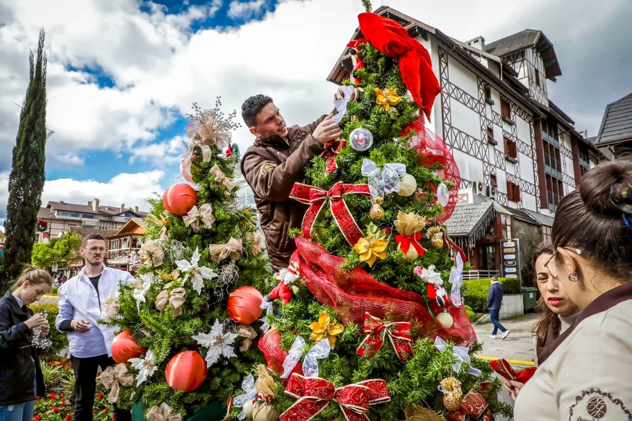 Moradores e comerciantes se unem para decorar pinheiros de Natal