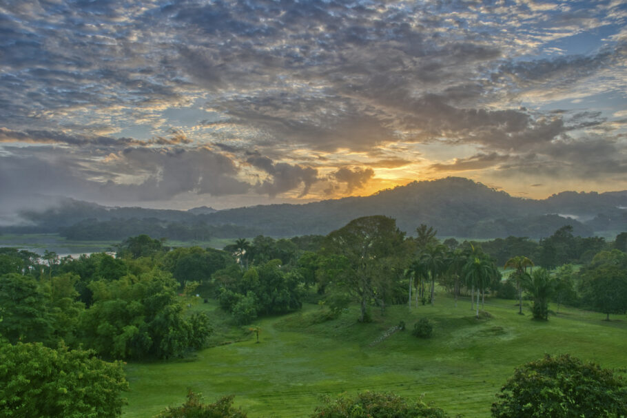 Parque Nacional Soberania é um dos melhores destinos para a observação de aves