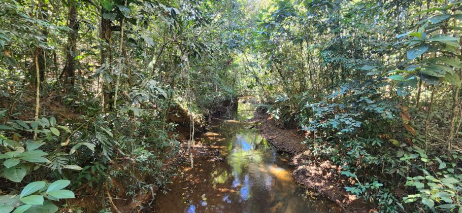 Trilha que leva à Cachoeira dos Namorados e balneário da Cachoeirinha