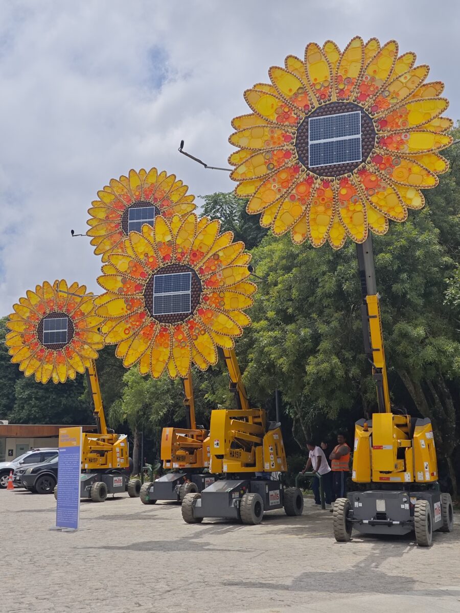 Atração “Girassóis” é um destaque da programação da Virada Sustentável 2024