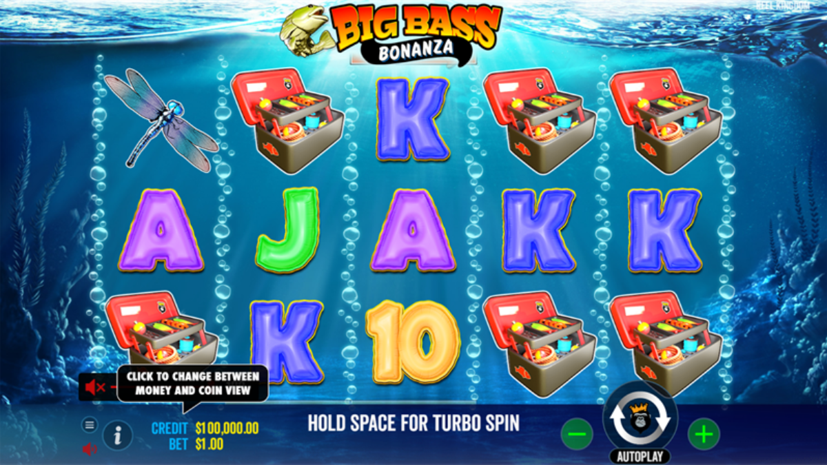 como jogar big bass splash