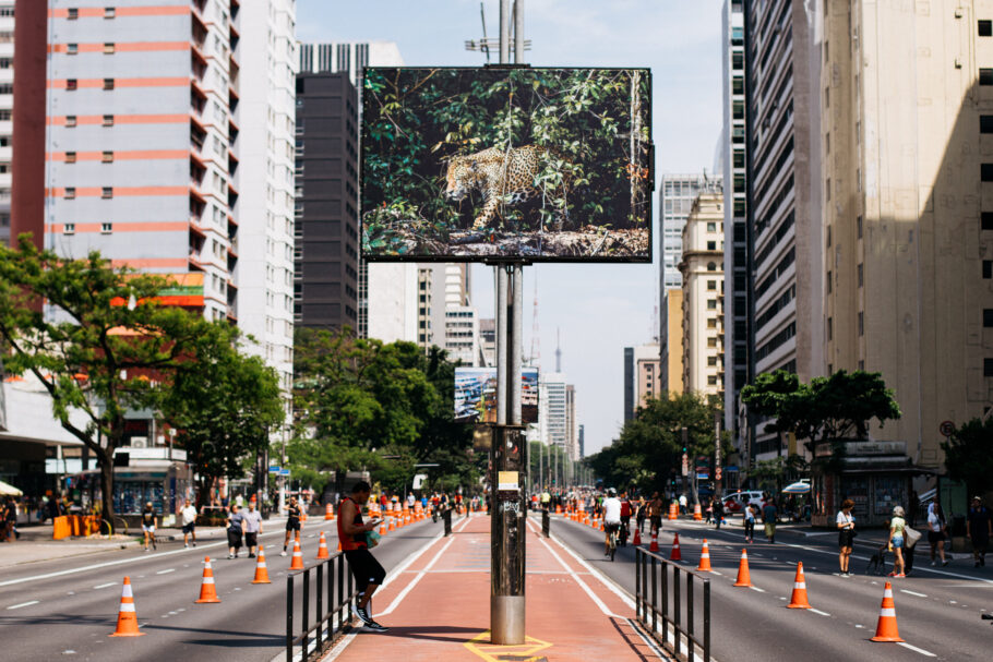 A exposição à céu aberto “Amazônia das Crianças” é um dos destaques da programação da Virada Sustentável 2024