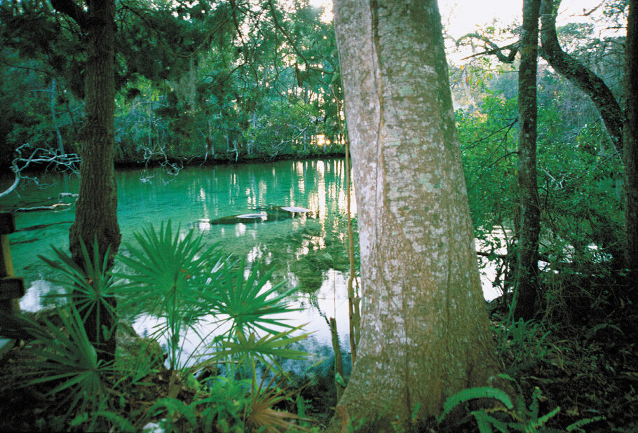 Ellie Schiller Homosassa Springs Wildlife State Park