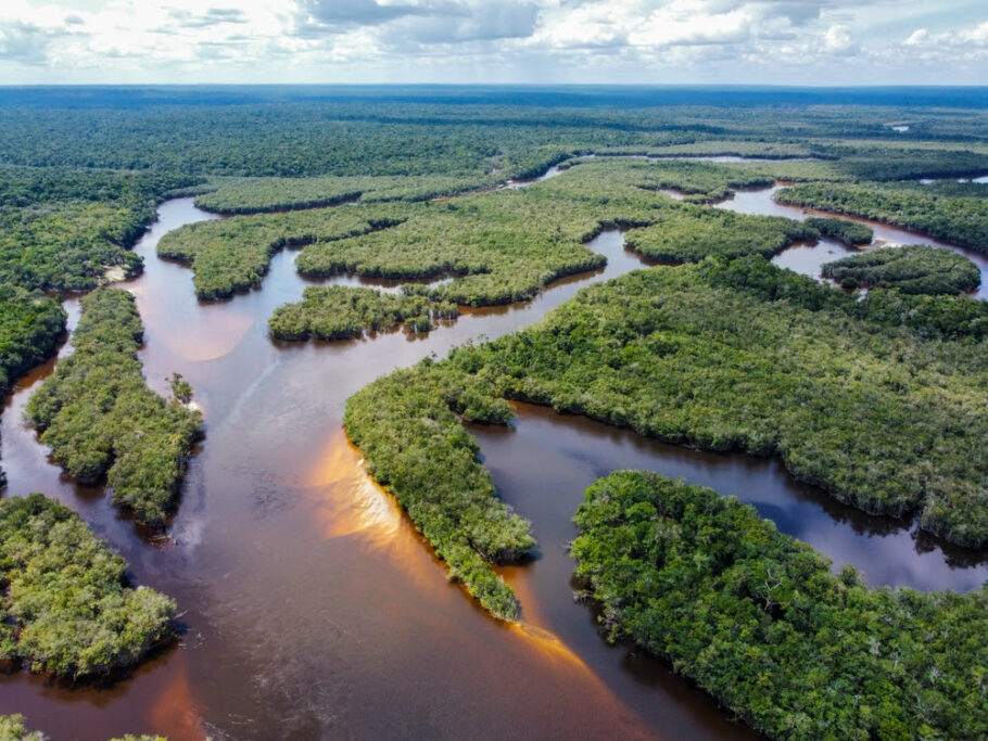 A Amazônia é um dos ecossistemas mais importantes e também mais ameaçados do planeta