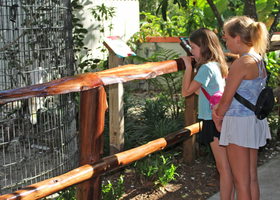 O Wonder Gardens combina jardim botânico e zoológico