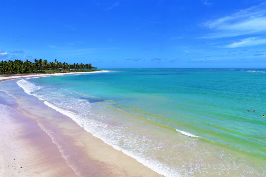 Ótimo cenário de praia. Praia paradisíaca com água cristalina e linda vista para o mar. Caribe brasileiro. São Miguel dos Milagres, Alagoas, Brasil.