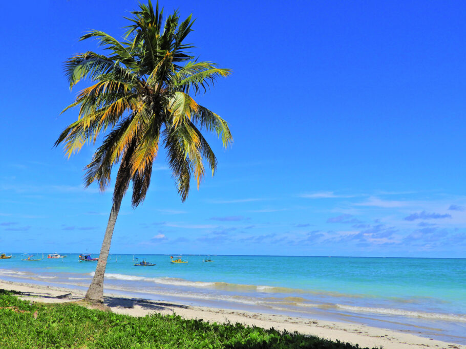 São Miguel dos Milagres, Alagoas