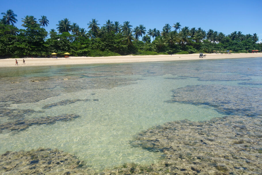 belas piscinas naturais com águas cristalinas na maré baixa na praia de Morro de São Paulo, Bahia, Brasil.