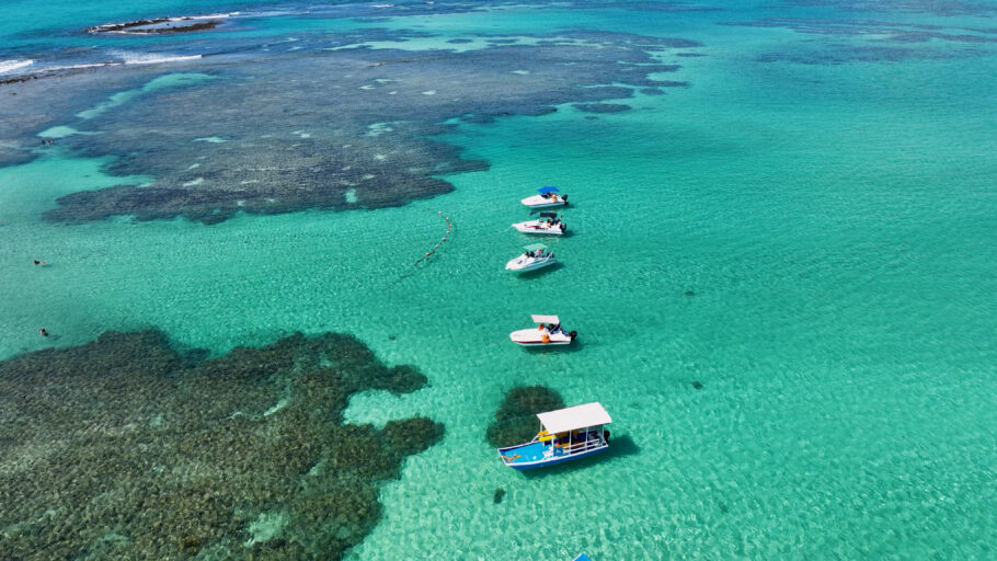 Piscina Natural Em Japaratinga Em Alagoas Brasil. Água Da Baía Dos Recifes De Coral. Paisagem Natural. Cenário Paradisíaco