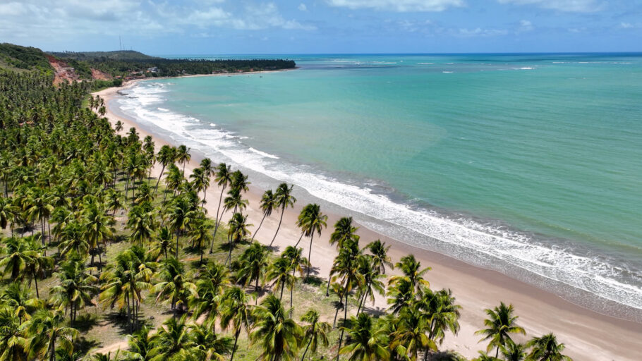 Japaratinga Em Alagoas Brasil