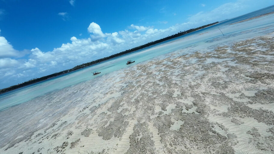 Piscina natural do Patacho em São Miguel dos Milagres em Alagoas Brasil.