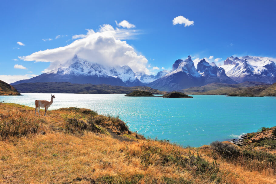 Beleza épica da paisagem – o Parque Nacional Torres del Paine no sul do Chile. Graciosa silhueta de guanaco no lago Pehoe