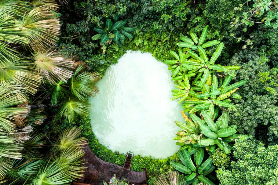 Fervedouros do Jalapão: fenômeno só existe no Brasil e você não vai acreditar como eles são formados.