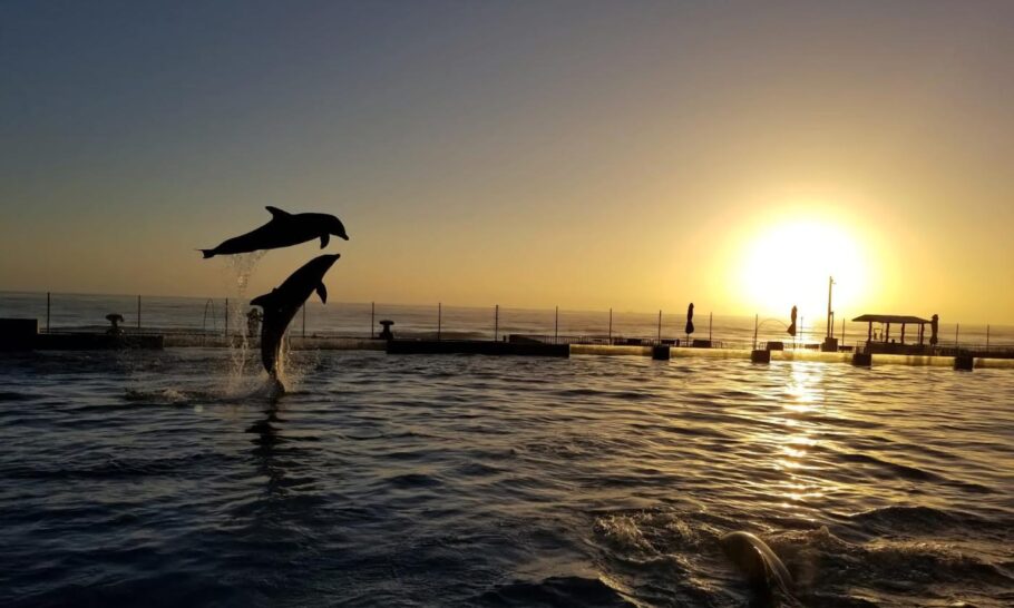 Entardecer no Marineland, centro de preservação ambiental