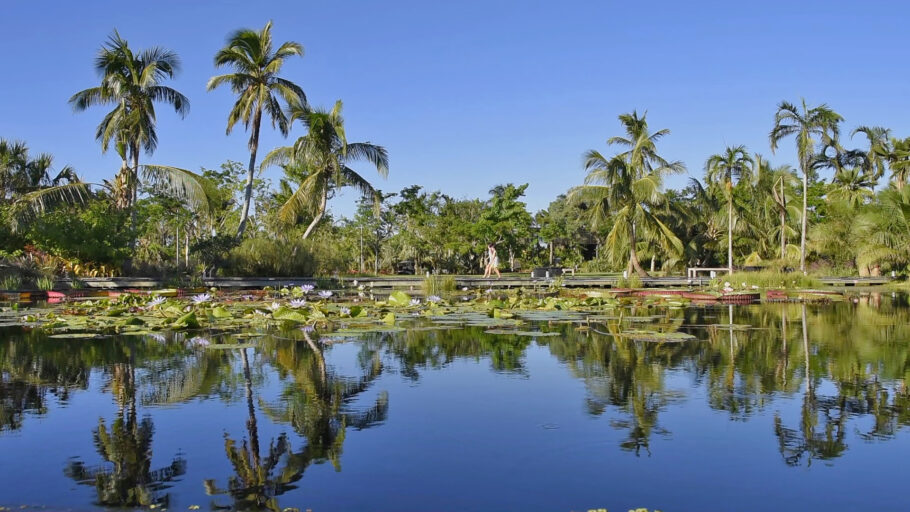 Naples Botanical Gardens