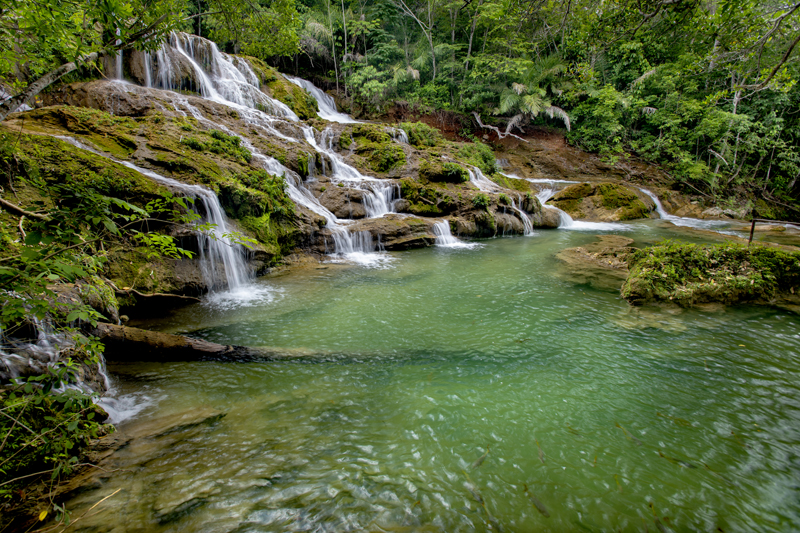 As águas cristalinas do rio do Peixe, em Bonito (MS)