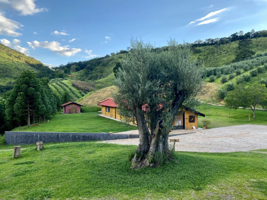 Fazenda do Azeite Sabiá, em Fazenda do Azeite Sabiá, oferece tours guiados com degustação