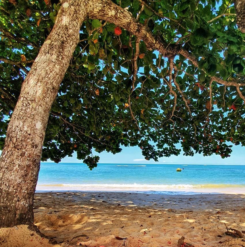 Praia Curuípe, Porto Seguro, Bahia, Brasil