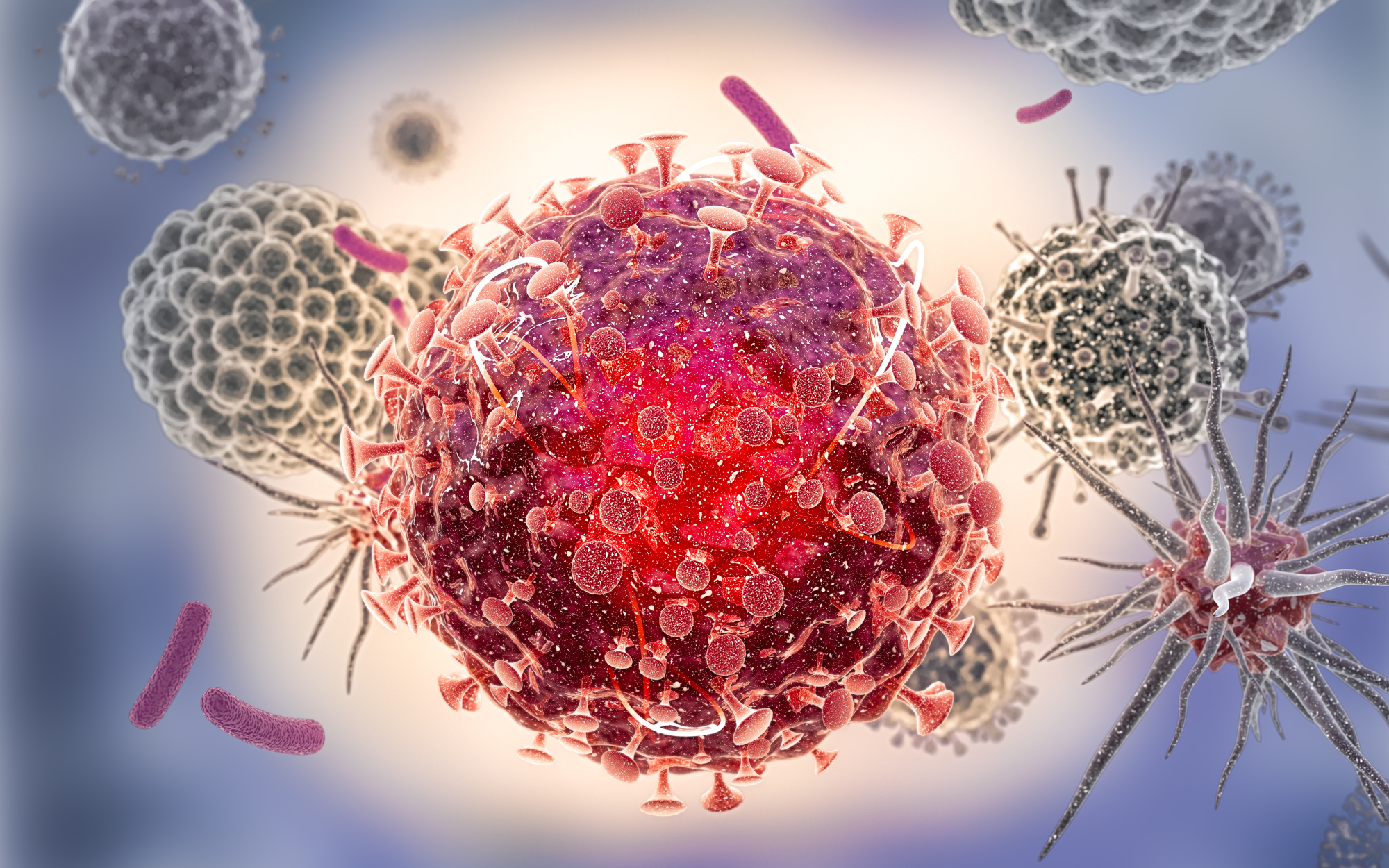 A bactéria H. pylori vive no revestimento do estômago e pode causar doenças graves se não tratada