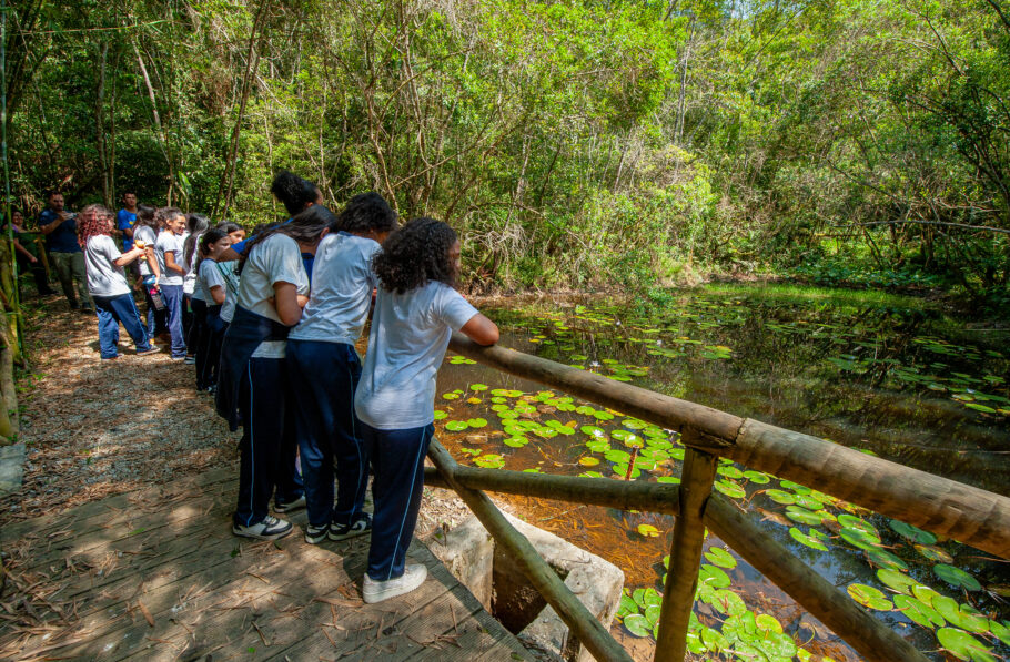 Parque fica na região de Parelheiros, zona sul da cidade de São Paulo