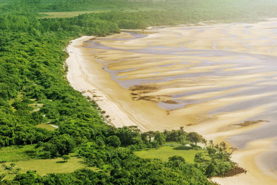 Praia intocada na Ilha de Marajó, no Pará