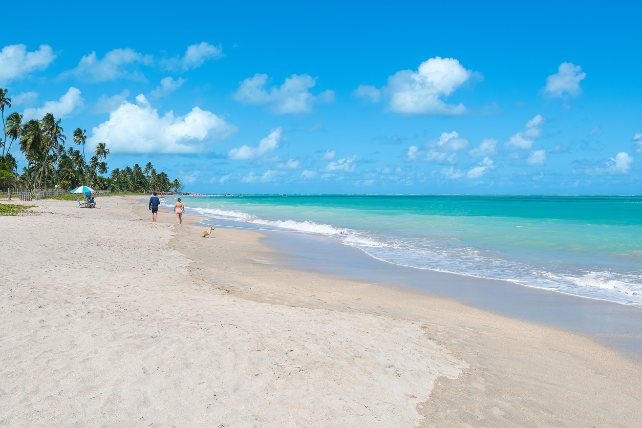 Vista ampla da praia de Barra Grande, Maragogi – AL, Brasil. Praia famosa, lindo destino costeiro do estado de Alagoas.