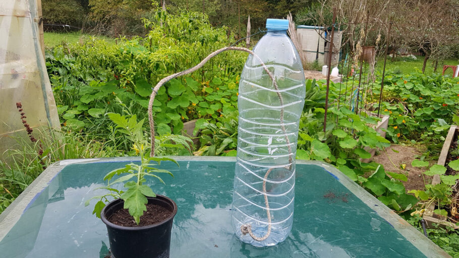 Esse sistema permite que a planta “puxe” a água conforme necessário, garantindo uma hidratação constante