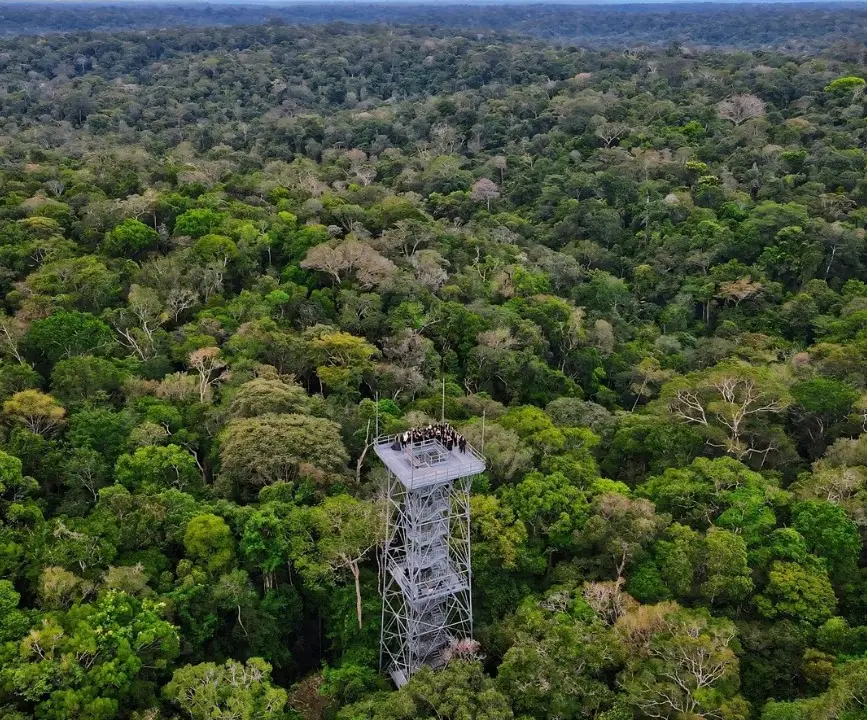 Torre de observação do Museu da Amazônia tem 42 metros de altura e 242 degraus