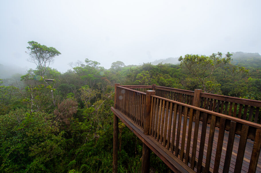 Parque Estadual Serra do Mar abrange os municípios de São Paulo, Itanhaém, Mongaguá e Juquitiba