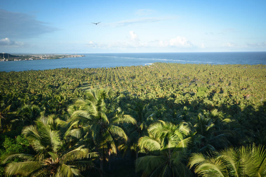 Praia do Gunga é uma das mais badaladas do litoral sul de Alagoas
